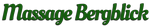 bergblick logo